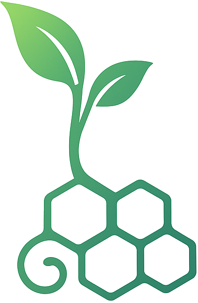 Conception organique